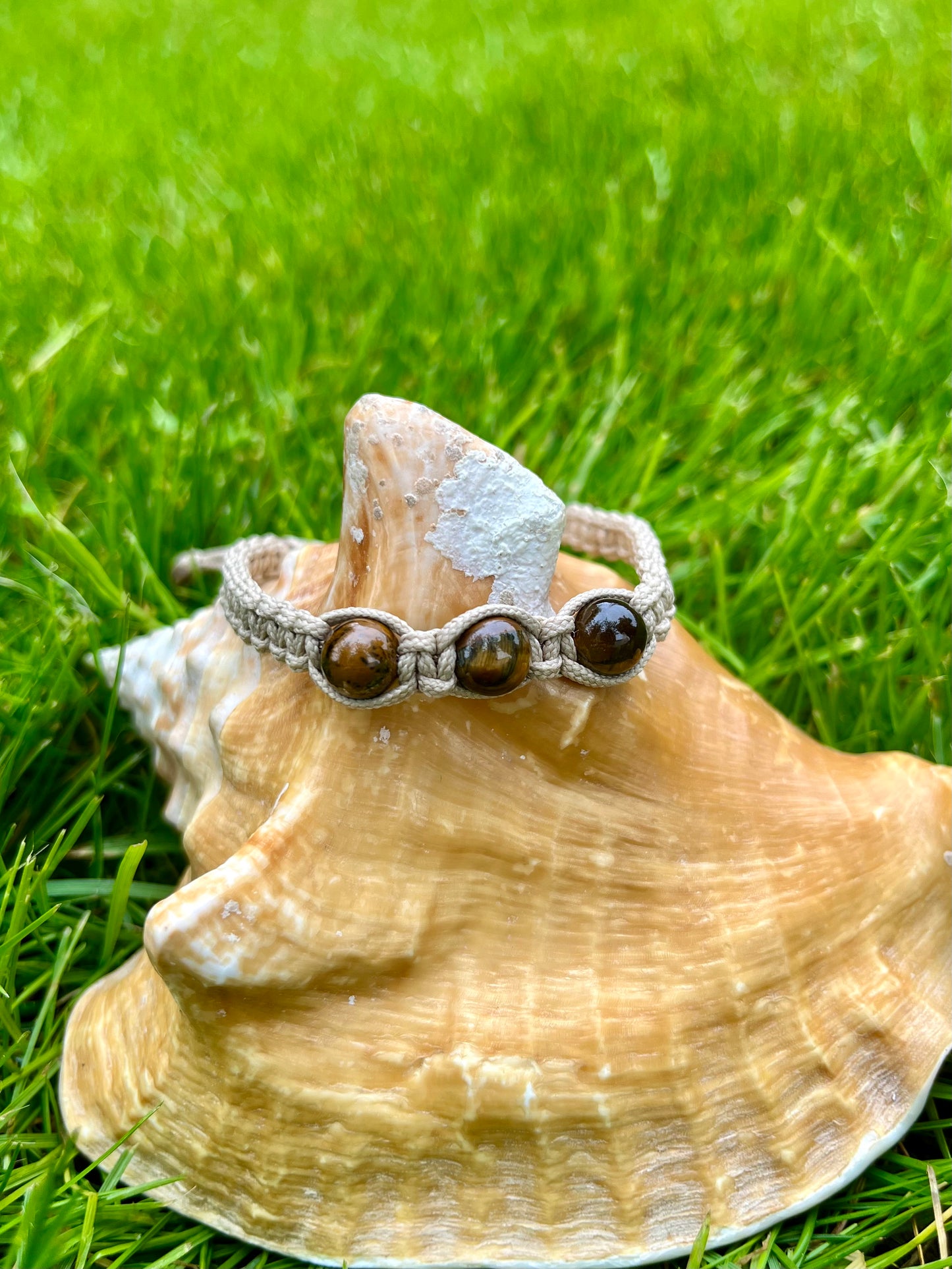 Bracelet MAËL, avec Pierres d'Oeil de Tigre, exposé sur un coquillage.